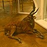 Mostra allo Specchio